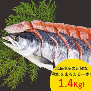 北海道産 新巻鮭姿